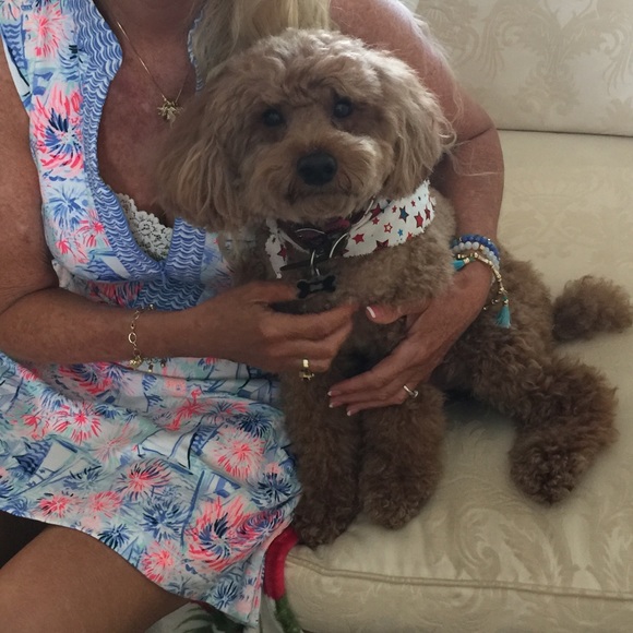 Meet your Posher, Raine🌴 - Picture 4 of 8